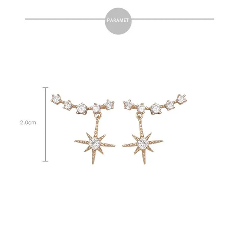 1 Pairs 925 Sterling Silver Stud Earrings New Fashion Snowflake Earrings Diamond Earrings