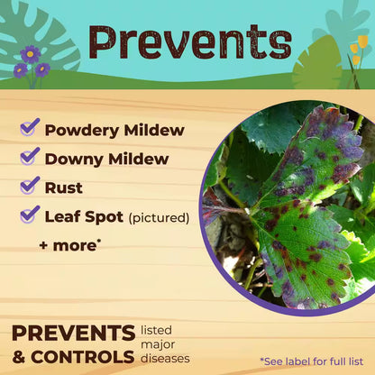 Captain Jack'S Neem Max, 8 Oz Concentrated Cold Pressed Neem Oil, Insecticide, Fungicide, Miticide and Nematicide