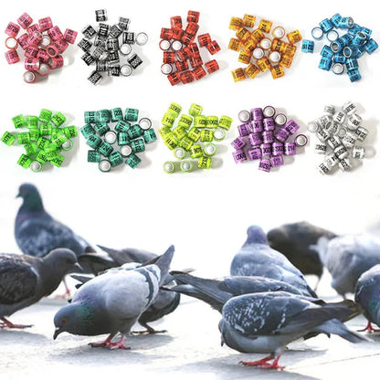 50 Pcs Mixed Color Dove Bands Bird Foot Ring Species Identify Training Rings Pet Bird Label Sign for Pigeon Dove Chicks Small Poultry Pet Supplies ZIO