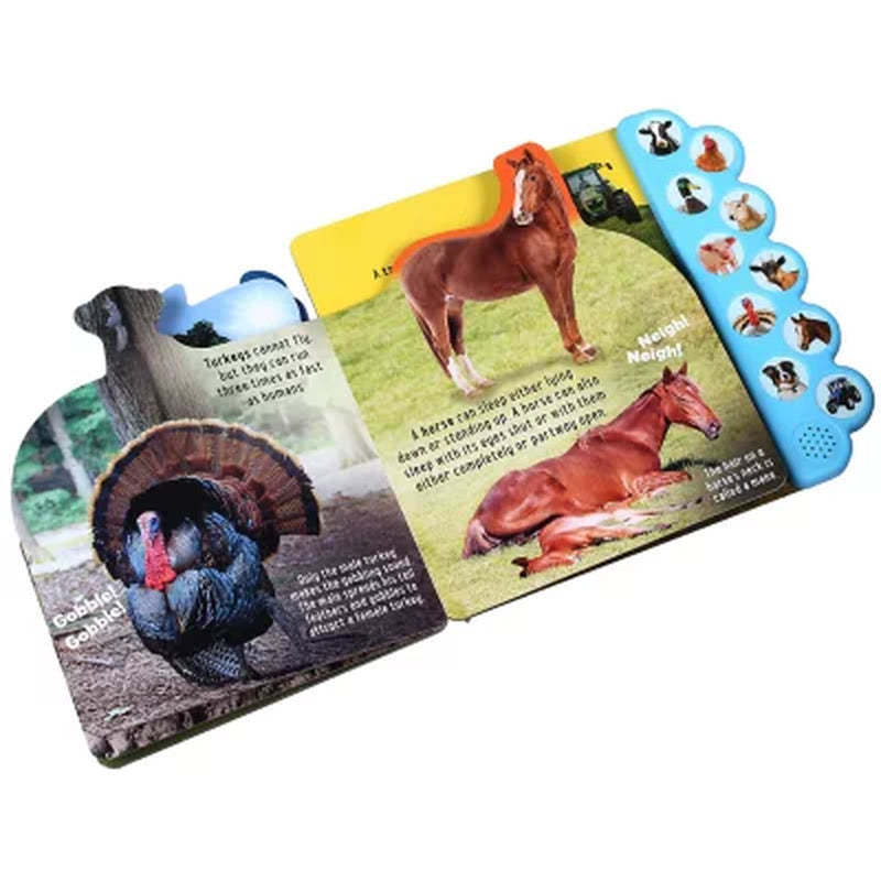 Discovery: Oink on the Farm!, Board Book