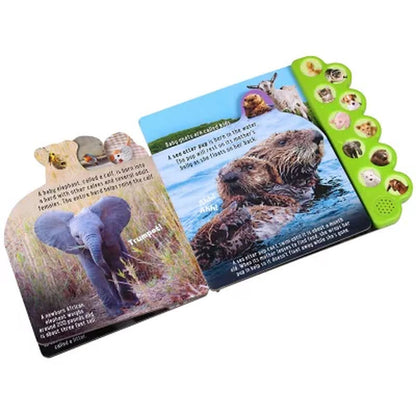 Discovery: Noisy Baby Animals!, Sound Book