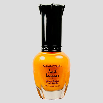 NEON COLORS 12 FULL COLLECTION SET NAIL POLISH LACQUER