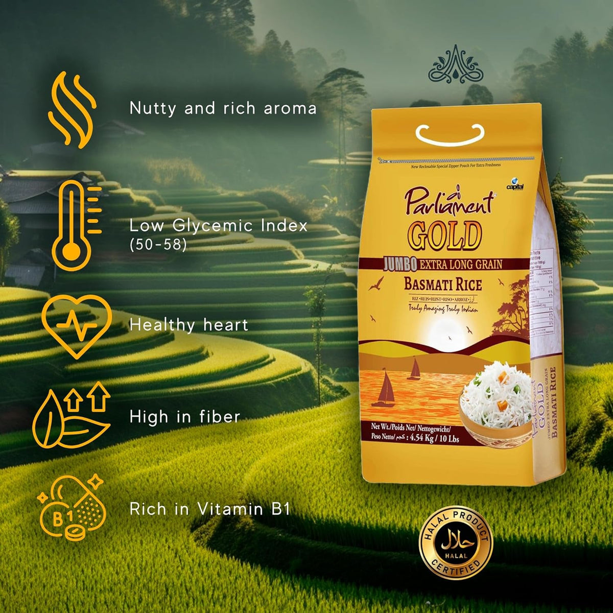 Gold Jumbo Extra Long Basmati Rice | Indian Risotto | All Natural | Vegan | Gluten Friendly | NON-GMO | Aged Perfection | Luxurious Taste | Product of India (10, Pounds)